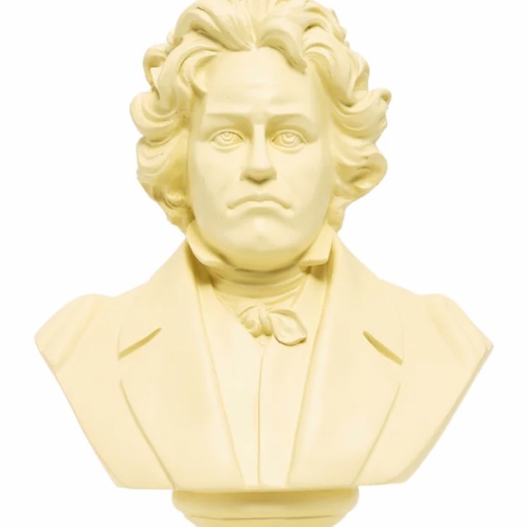 The tortured musician - Picture 4 of 5